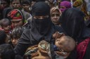 The World Must Recognize the Cause of the Rohingya Crisis: Thomas McManus